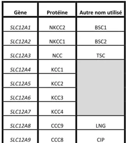 Tableau  1-2  Noms  des  gènes  et  protéines  utilisés  pour  les  membres  de la famille des CCC