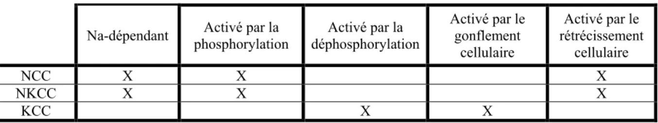 Tableau 1-3 Résumé des caractéristiques fonctionnelles des CCC transporteurs d’ions. 