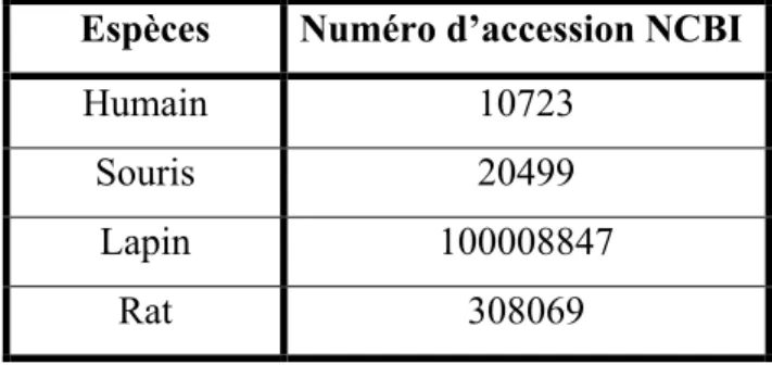 Tableau  1-4  Numéros  d’accession NCBI du gène codant  pour  KCC4  chez  différentes  espèces