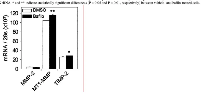 Figure 2 Quantitative RT-PCR analysis showing the influence of bafilo on MMP-2, MT1-MMP and TIMP-2  mRNA levels in S.I.5 cells 