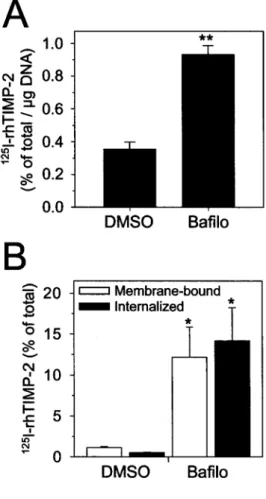 Figure 4    Influence of bafilo on  125 I-rhTIMP-2 binding and internalization 