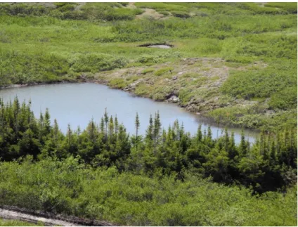 Figure 1.18:  Mare  de  thermokarst  au  droit  d’une  butte  de  pergélisol  en  dégradation  à  l’entrée  du  village  nordique  d’Umiujaq