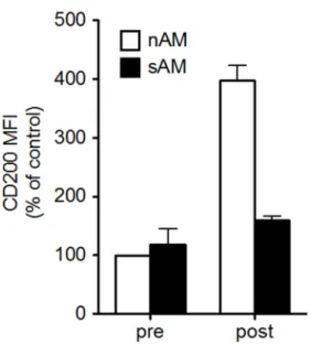 Figure 7. Modulation de l’expression du CD200 à la surface des macrophages alvéolaires  chez les animaux naïfs (nAM) et sensibilisés (sAM) suite à la stimulation allergénique
