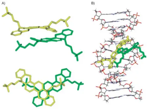 Figure 3. A) Geometry optimization of the dimer: side view and top view. B) Structure of the 2:1 complex  between the RP12274 dimer and the duplex (CGCGAATTCGCG)2 obtained after molecular dynamics