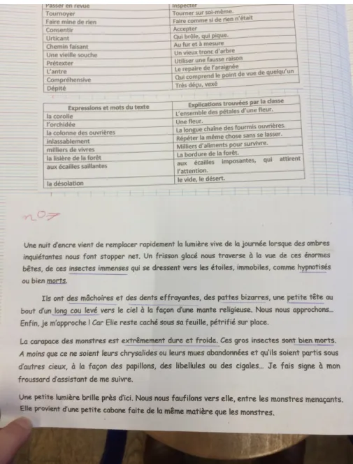 Figure  6  : Repérage des mots et expressions  du texte décrivant "les  monstres" à illustrer