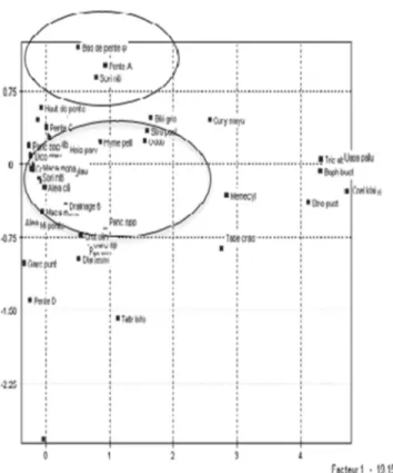 Figure 2. 4: Plan factoriel des axes 1 et 5 donnant une représentation synthétique   de l’effet de la pente et de la position topographique