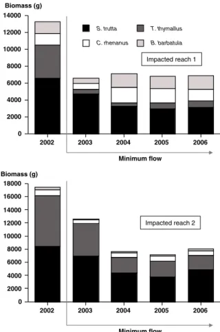 Fig. 4 Changes in the observed fish community biomass of the four representative species of the Lhomme in the impacted study reaches 1 and 2 from 2002 (natural flow conditions) to 2003, 2004, 2005 and 2006 (minimum flow conditions)