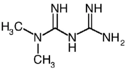 Figure 6 : Structure chimique de la metformine 