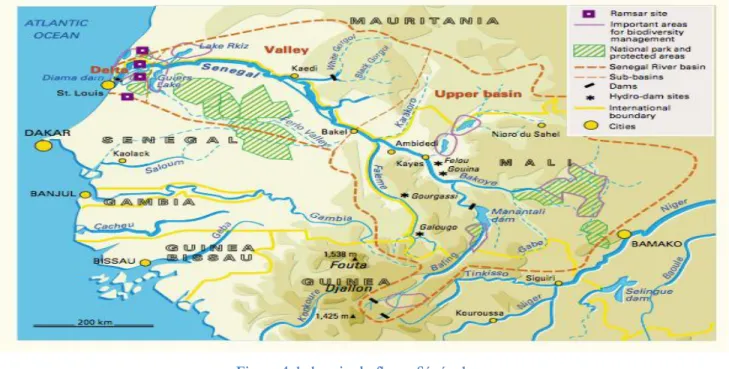 Figure 4: le bassin du fleuve Sénégal 