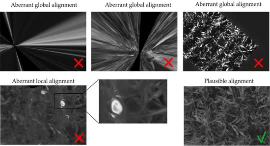 Figure 6. Examples of plausible and aberrant alignments on images from various cameras