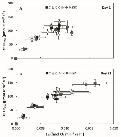 Figure 4. Comparison of the relative electron transport rate through PSII (rETR PSII ; µmol e −  m −2  s −1 )  and gross O 2  evolution by PSII (E O ; fmol O 2  min −1  cell −1 ) at steady-state photosynthesis in S