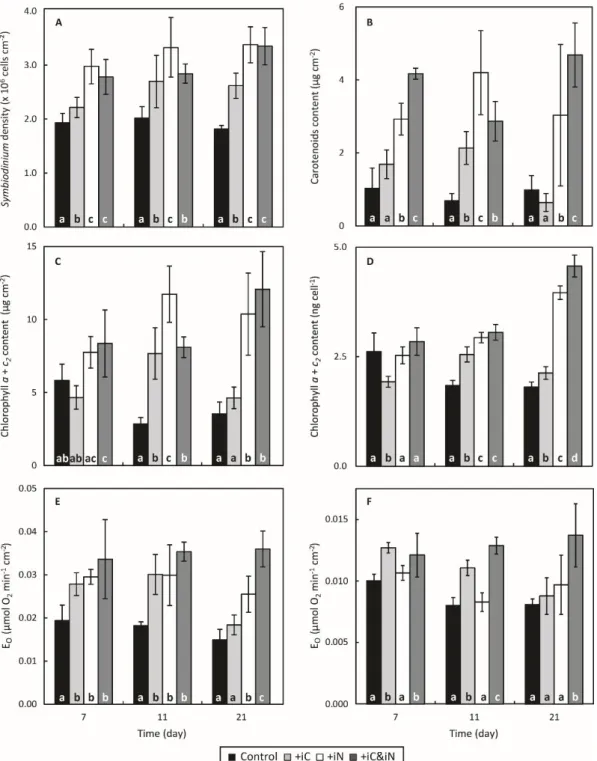 Figure 2. Evolution of the physiological parameters of the coral S. pistillata exposed for 3 weeks to  natural seawater (control) and to seawater enriched with 6 mM HCO 3−  (+iC) or 4 µ M NH 4+  (+iN) or  both (+iC &amp; iN)