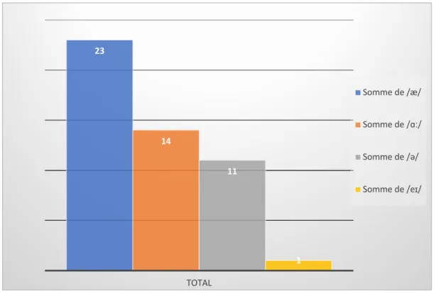 Figure 6 : Nombre d’erreurs par type d’erreur (n = 49). 