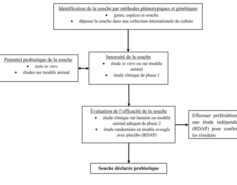 Figure 1.6 Critères d’évaluation d’un probiotique (adapté de FAO/WHO [216]). 