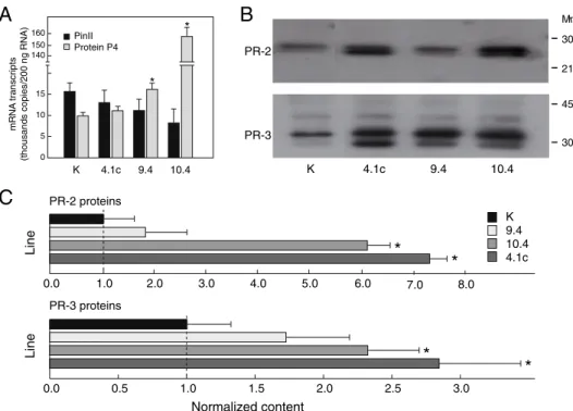 Figure 1.2 – Expression of endogenous defense proteins in leaves of control line K and CCII-expressing lines 4.1c, 9.4 and 10.4