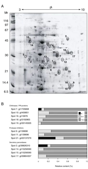 Figure 1.3 – 2-DE analysis of the leaf proteome in control line K and CCII- CCII-expressing lines 9.4 and 10.4