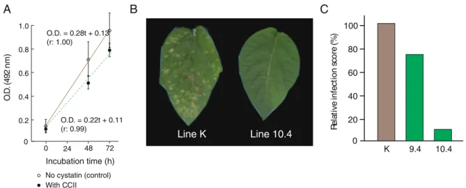 Figure 1.5 – Impact of recombinant CCII and CCII-expressing potato lines on growth and infection capacity of Botrytis cinerea 