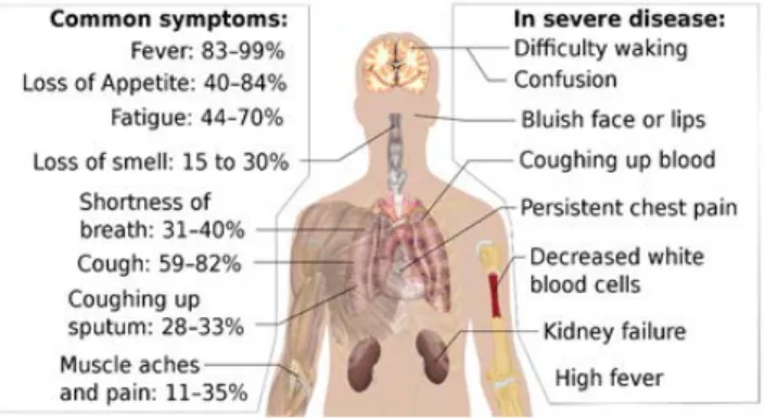 Figure 4. Symptoms of Coronavirus disease 2019