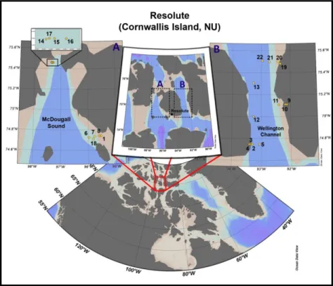 Figure 2.1 Location of the 22 stations sampled  in channels of the Eastern Canadian Arctic Archipelago in  spring 2013