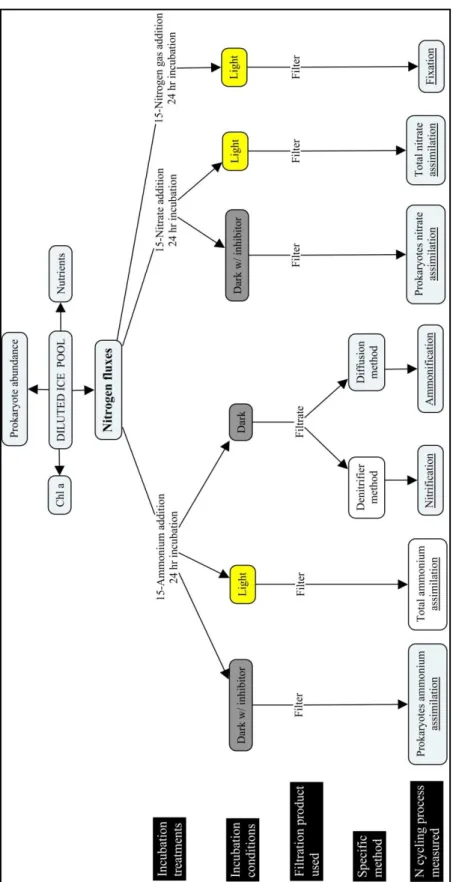 Figure A.1 Schematic representation of the different steps and methods used to assess the rate of each N cycling process
