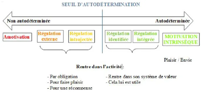 Figure 1: continuum motivationnel