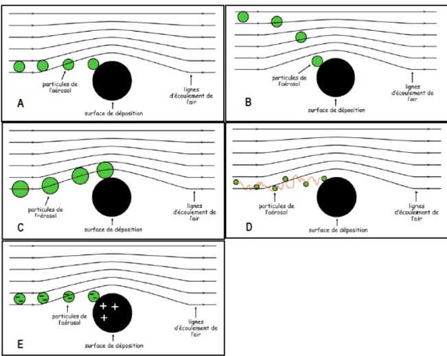 Figure 1-2 : Schéma des forces agissant sur le comportement des particules dans l’air