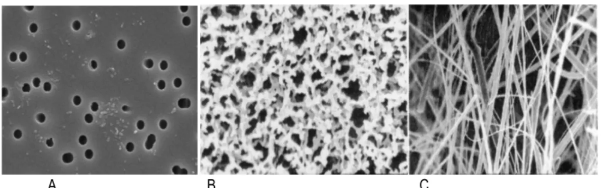 Figure 1-5: Image en microscopie électronique à balayage d'un filtre poreux (A), d'un filtre membraneux (B) et  466 