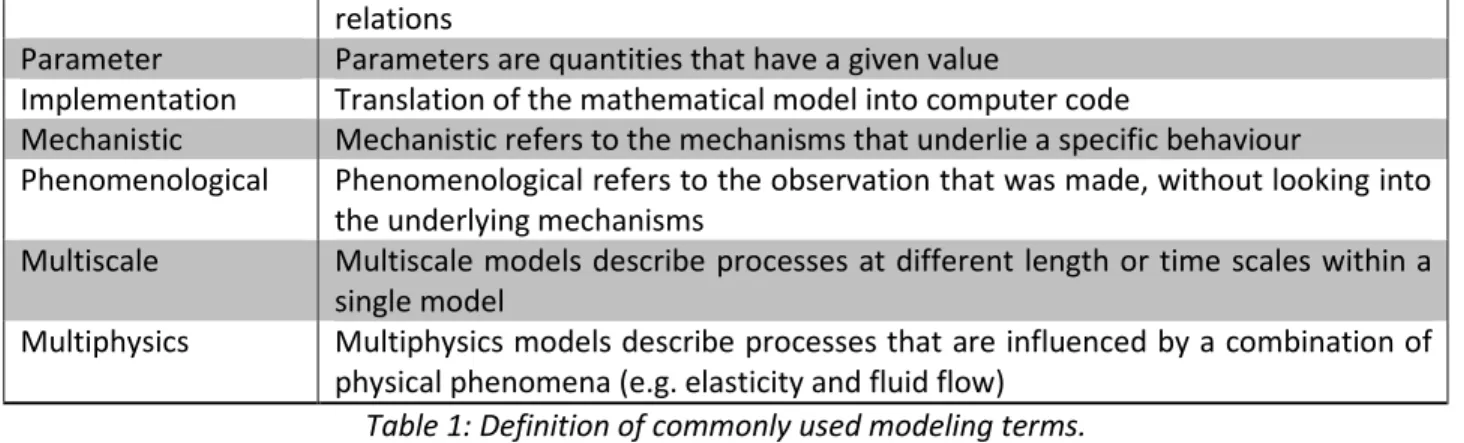 Table 1: Definition of commonly used modeling terms. 