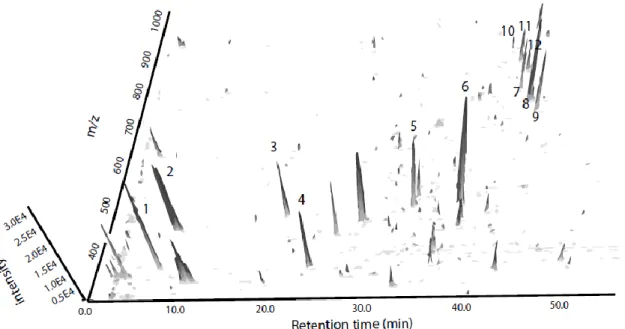 Figure 2.2 Separation profile of glucosinolates (GLS) and hydroxy-cinnamic acids (HCA) in broccoli  florets by RP-HPLC and detected by MS