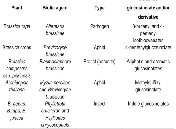 Table 1.2 Examples of inducible glucosinolates and their derivatives by pathogens and herbivores