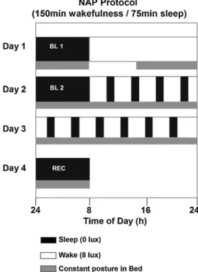 Fig. 1. Overview of the 4-day “in-lab” part of the study. Black bars (0 lux) indicate sleep and white bars wakefulness (<8 lux)