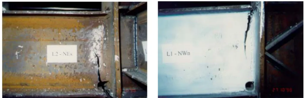 Figure 4. Cracks 
