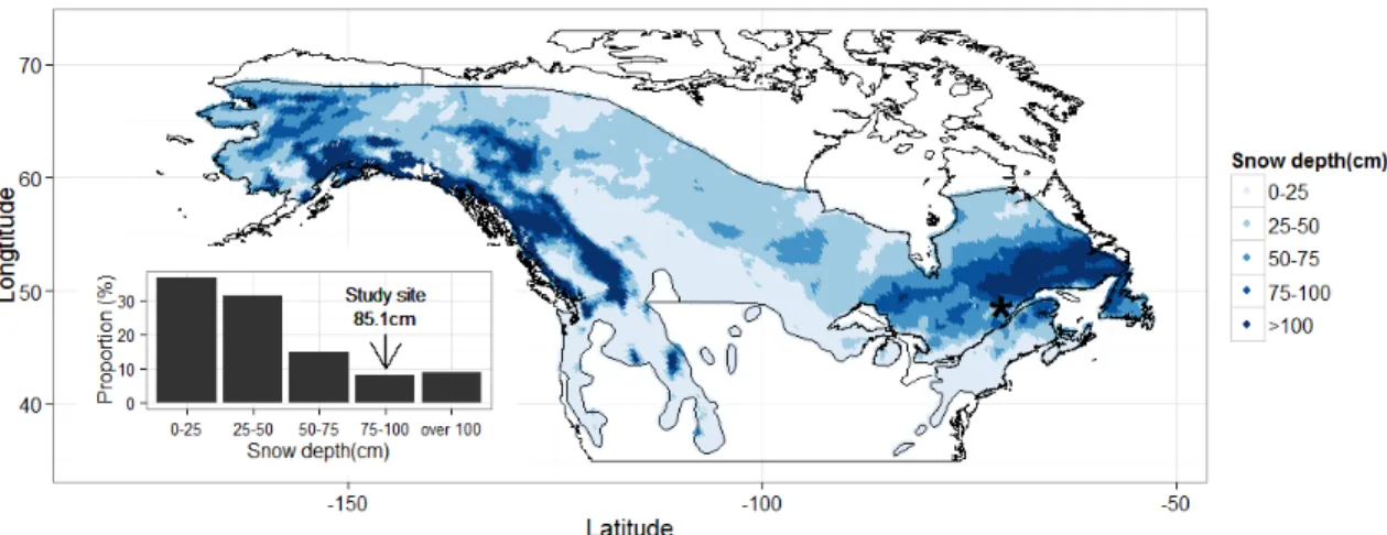Figure 3. 1. Satellite snow depth over distribution of snowshoe hare (Lepus americanus)