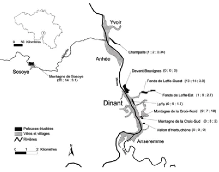 Figure 3 : Illustration de la dynamique de colonisation d’une pelouse calcicole par le cotonéaster horizontal