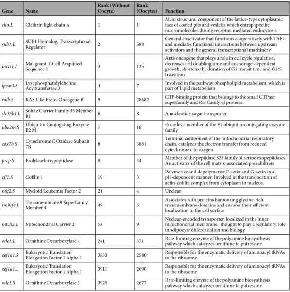 Table 1.  Table of the 14 candidate reference genes and four previously used reference genes