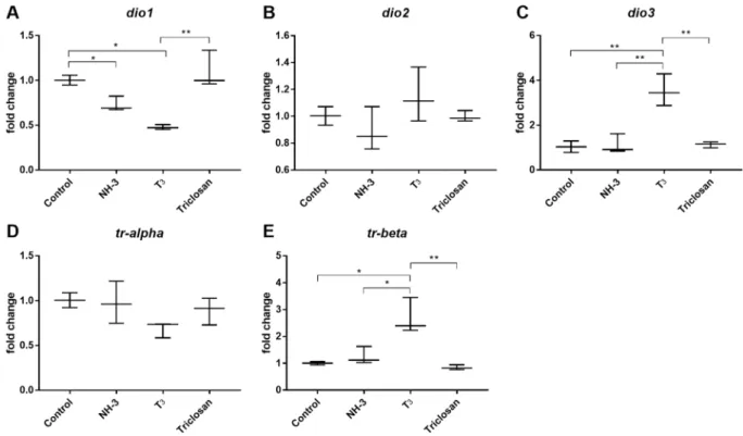 Figure 6.  Relative fold changes of thyroid signalling genes using reference genes in NF48 X