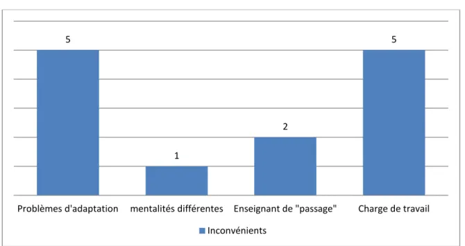 Figure 6 : Catégorisation des inconvénients.  