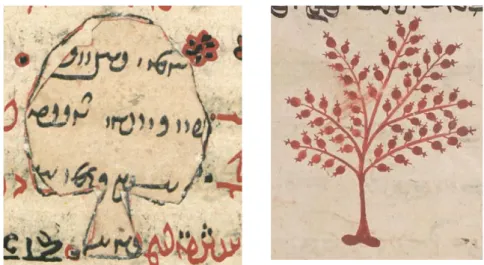 Fig. 7 : Comparaison entre les arbres au commencement du Y9 (mss. 672 et 4060)  Deuxièmement, il semble clair que ce fut le même copiste du ms