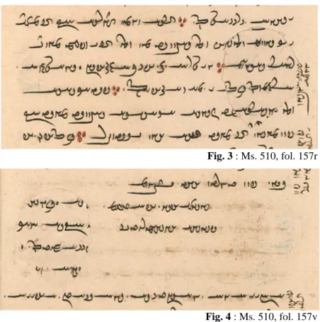 Fig. 3 : Ms. 510, fol. 157r 