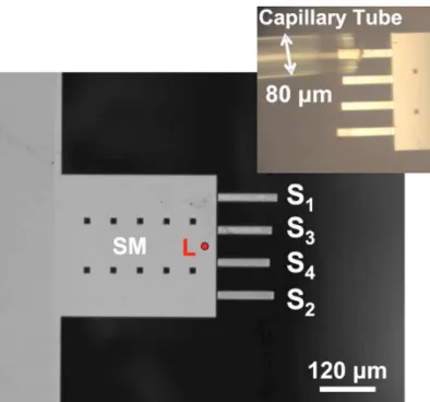 Figure 2.5 A microbeam sensors utilizing mode-localization to detect and identify the  analyte [52]  