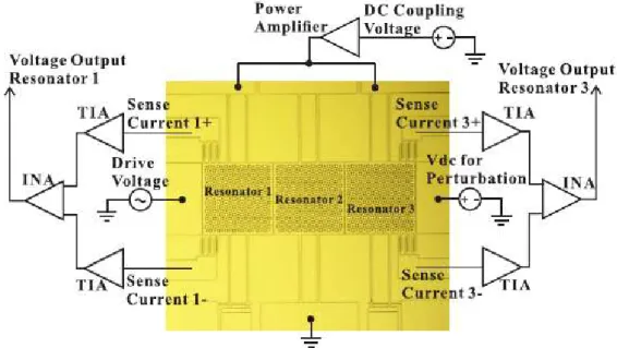 Figure 2.7 A coupled resonator sensor employing an array of three resonators [18] 