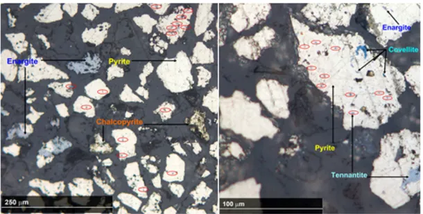 Fig. 7. Optical view of 45-90 µm Cu-selective scavenger feed (left)   and scavenger tailings (right) (micro inclusions 