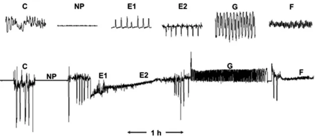 Fig. 1.  Typical waveforms recorded by the EPG (Tjallingii and Hogen-Esch 1993). C: penetration of stylets into the plant between epidermis and mesophyll cells; 