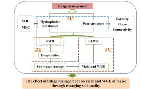 Figure 1-5 The technology roadmap of this thesis 