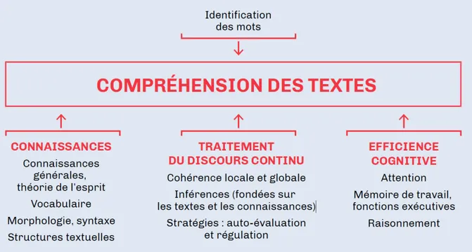 Figure 1 :   Schéma issu du guide « Pour enseigner la lecture et l’écriture au CE1 »  publié par le Ministère de l’Education Nationale et de la Jeunesse, page 36