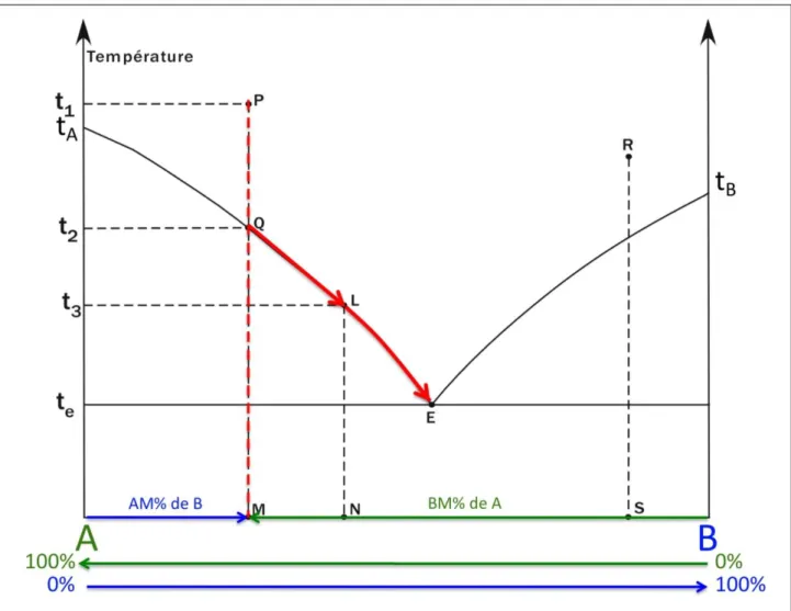 Diagramme de phase liquide-solide en fonction de la température pour un mélange de deux composés
