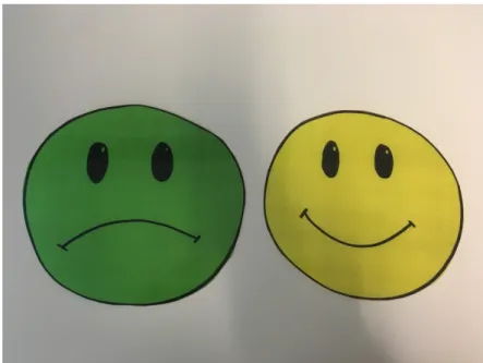 Figure 1 – Smileys utilisés lors du questionnaire