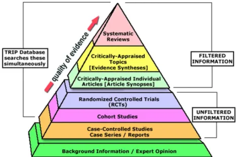 Figure VI. La Pyramide de l'évidence 