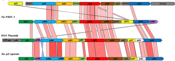 Figure 2. Schematic view of the sequential strategy applied to generate PF06864 Pfam family improved HMM profiles