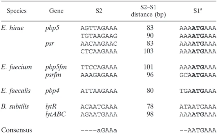 TABLE 5. Putative regulatory imperfect DR located upstream of the psr and pbp5 genes of three enterococcal species